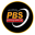 pbs.com.pk-logo
